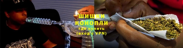 мяу мяу мука Няндома