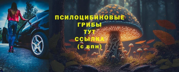 мдпв Бутурлиновка