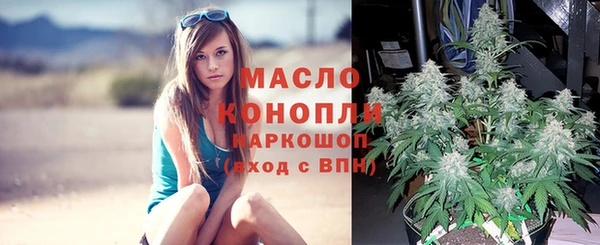 мяу мяу мука Няндома