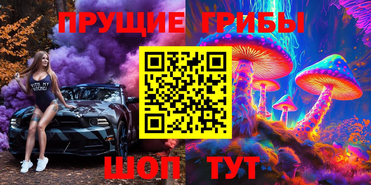 Псилоцибиновые грибы Cubensis Богородицк