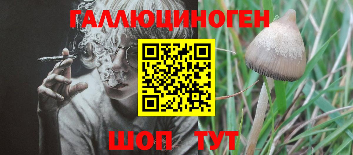 Псилоцибиновые грибы мицелий  Вход с VPN  Галлюциногенные грибы GOLDEN TEACHER  Богородицк 