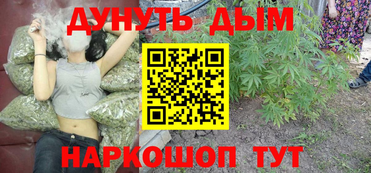 Канабис сатива Богородицк